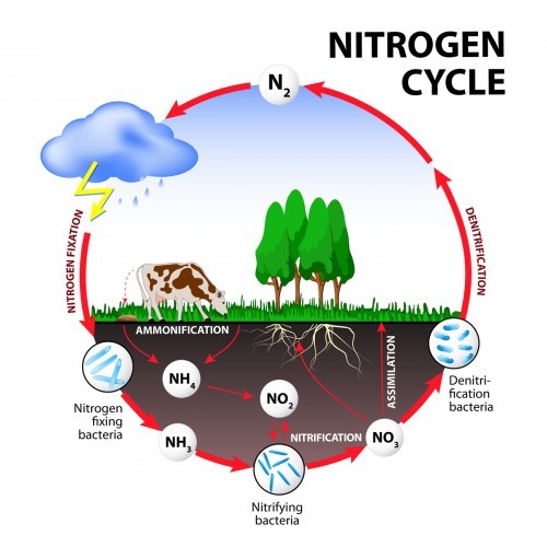 https://www.wtlireland.com/uploads/annual_bacteria_and_nitrates_testing_400643743_1.jpg